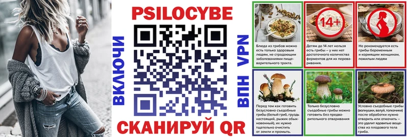 Купить  Киреевск  Псилоцибиновые грибы ЛСД 